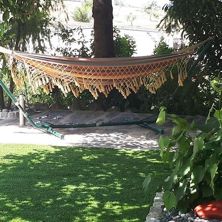 Quintinha Dos Cedros Villa Алфандега да Фе Екстериор снимка