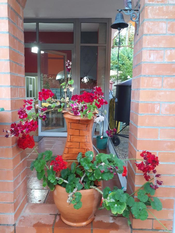 Quintinha Dos Cedros Villa Алфандега да Фе Екстериор снимка
