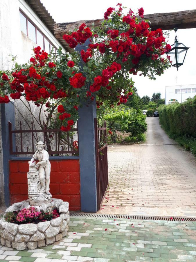 Quintinha Dos Cedros Villa Алфандега да Фе Екстериор снимка